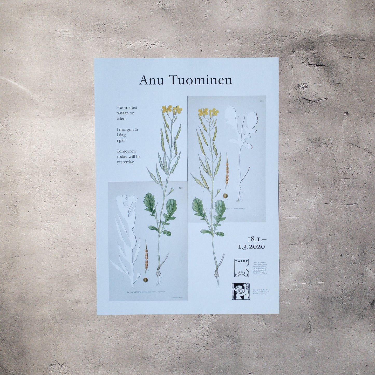 アヌ・トゥオミネン フィンランド エキシビジョンポスターⅠ